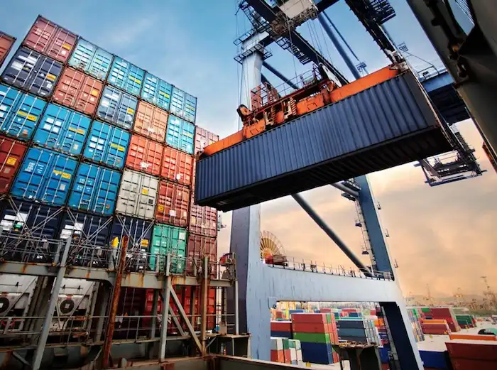 Container fleet soars in response to supply chain congestion