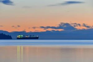 overnight shipping cost