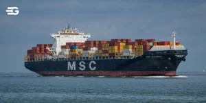 MSC Container Tracking: Step by Step Process