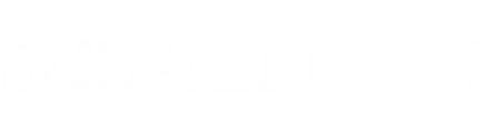 schaeffler