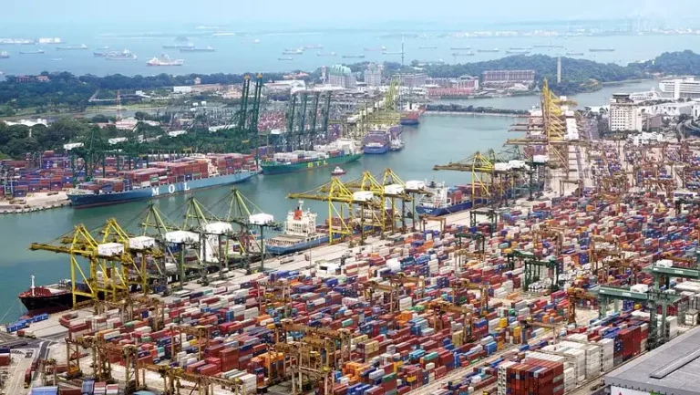Port Congestion in USA Updates: Tampa Port Congestion of 12 days